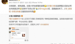 盗摄视频,一场隐私与道德的较量