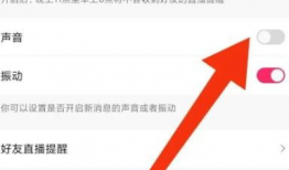 91的直播怎么关闭声音,操作指南一网打尽