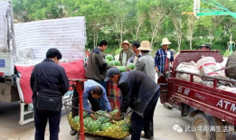 来宾市吃瓜群众爆料案件,吃瓜群众揭秘真相